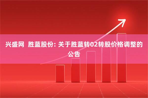 兴盛网 胜蓝股份: 关于胜蓝转02转股价格调整的公告