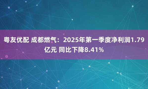 粤友优配 成都燃气：2025年第一季度净利润1.79亿元 同比下降8.41%